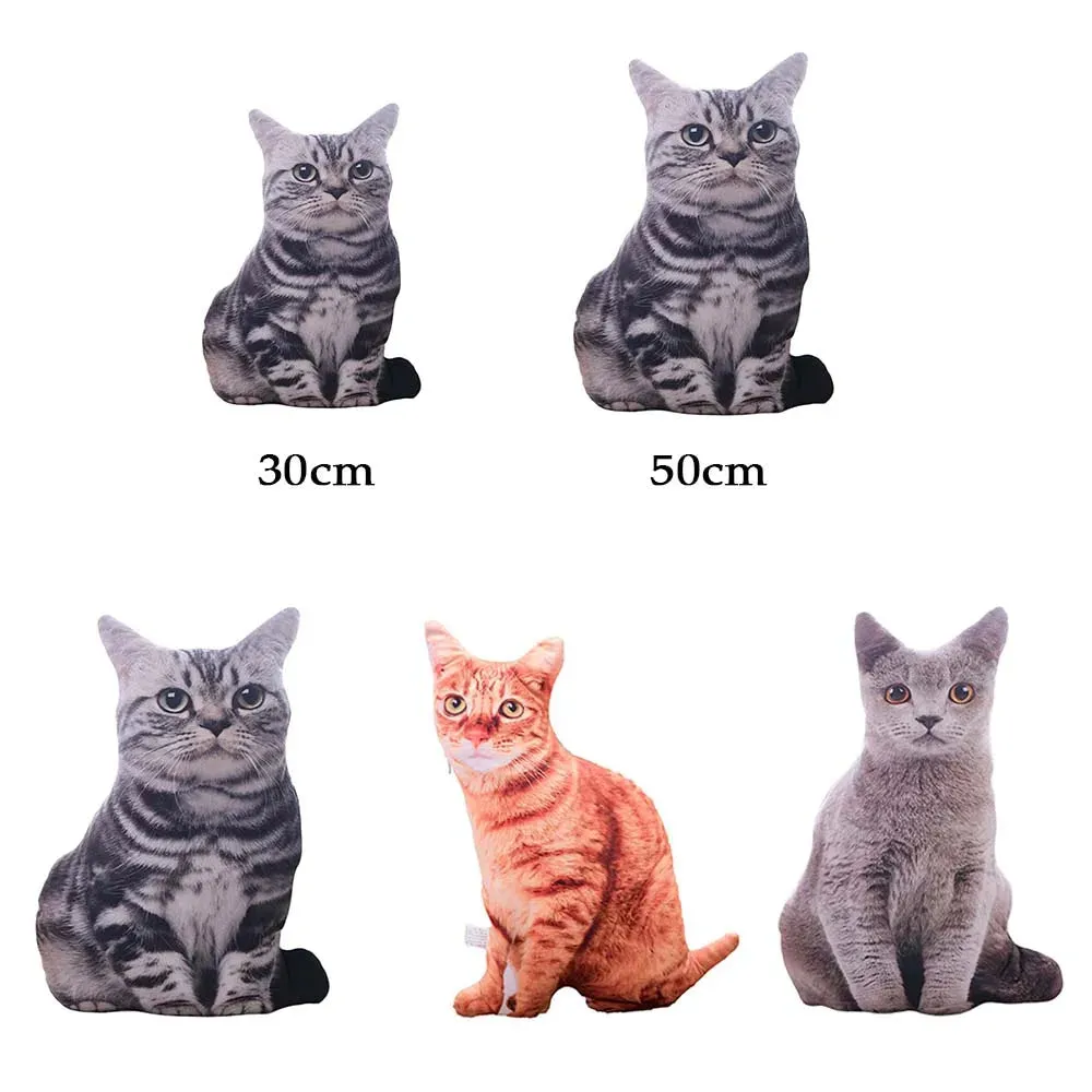 3D Cat Cushions