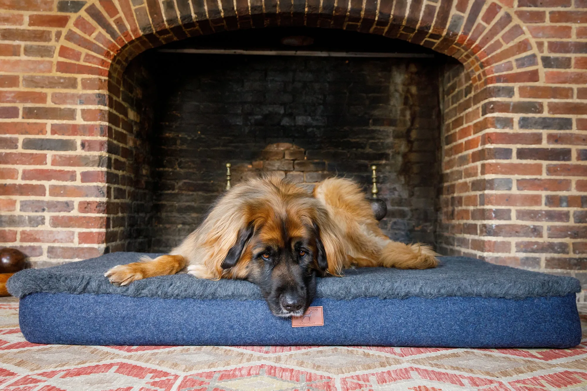 Cobalt Blue Giant Dog Mat