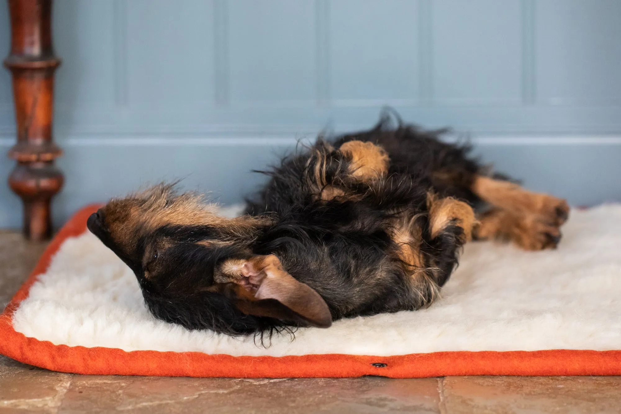 Fire Orange Dog Roll Mat