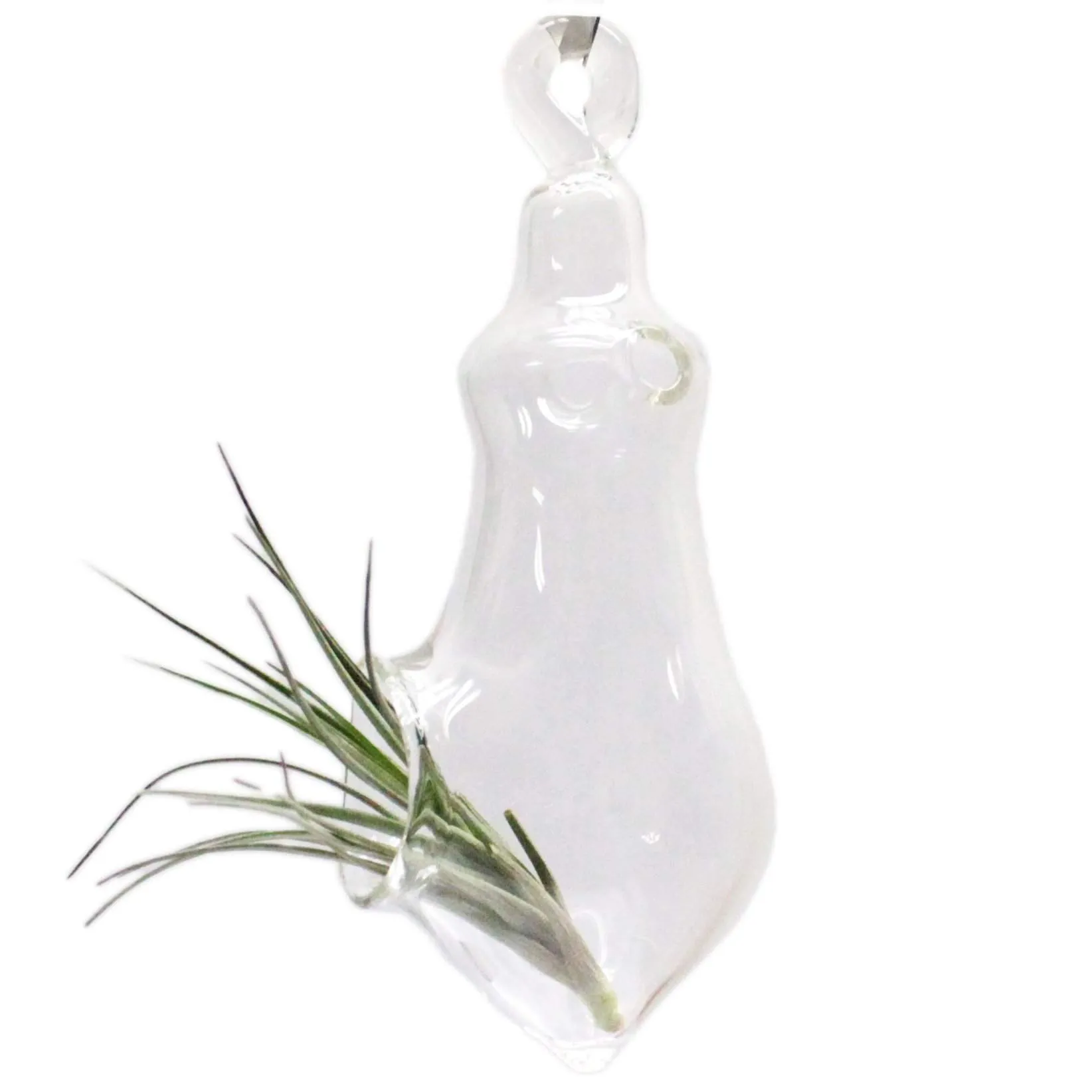 Hanging Air Plant Holders