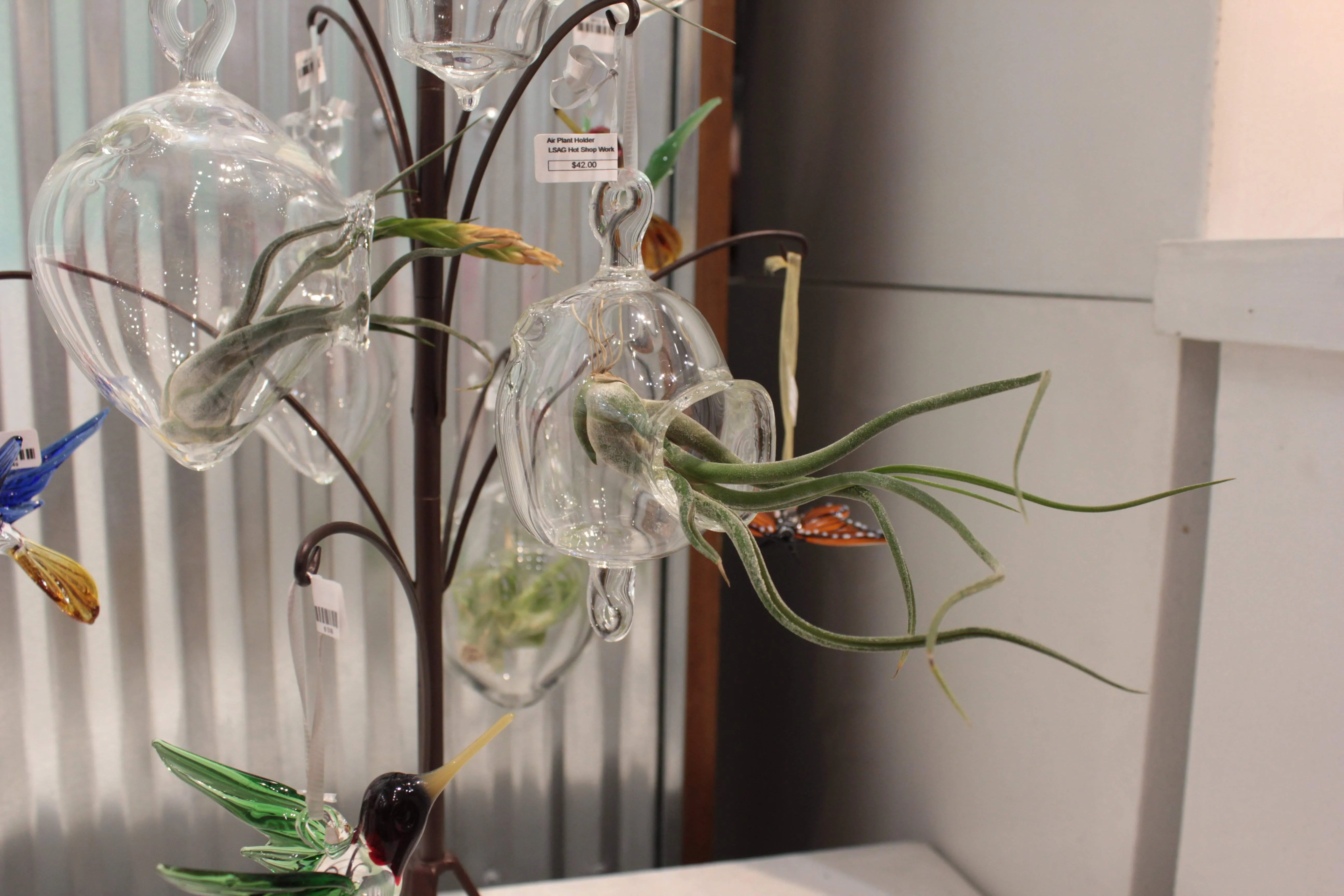 Hanging Air Plant Holders