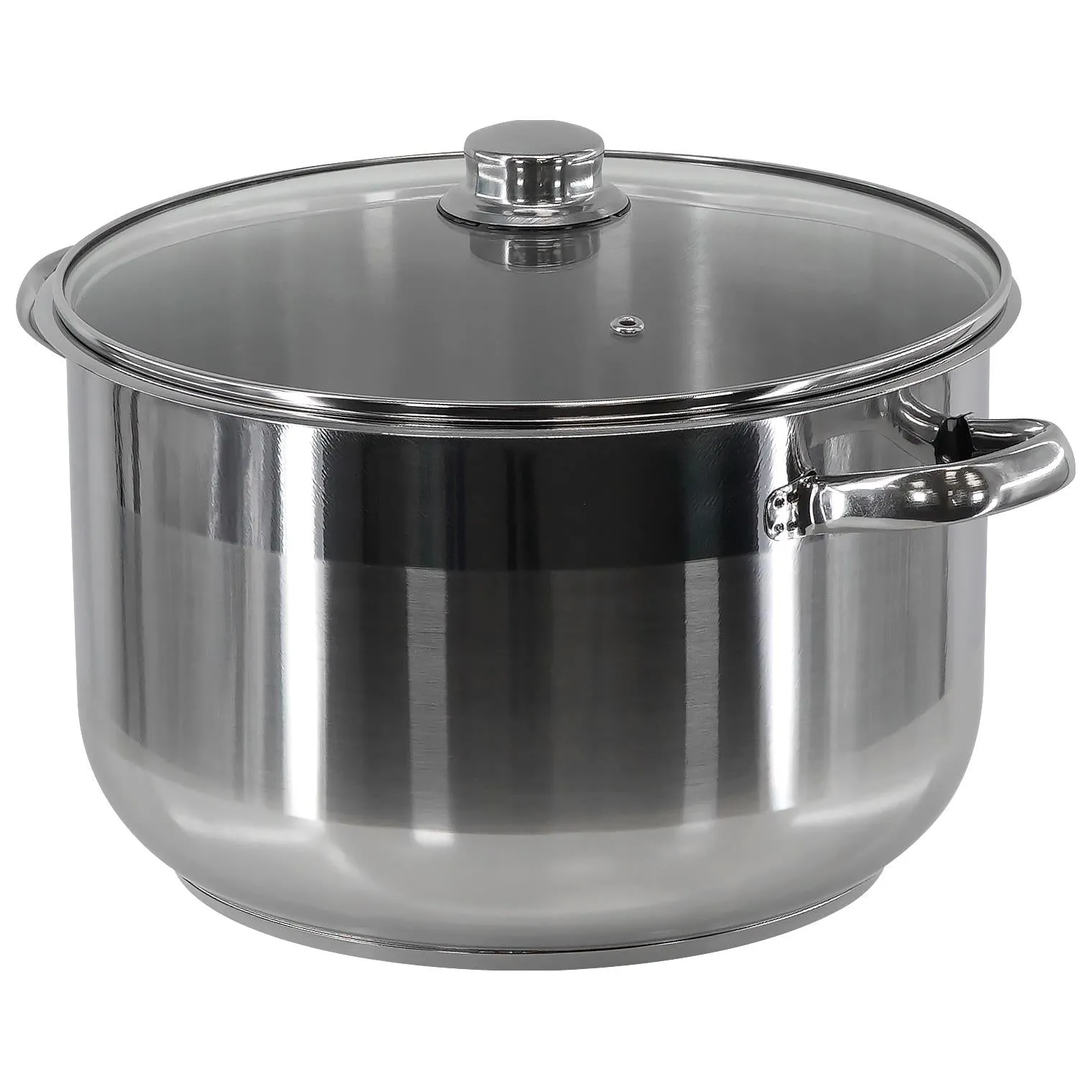 Stainless Steel Stock Pot with Lid 6.5L