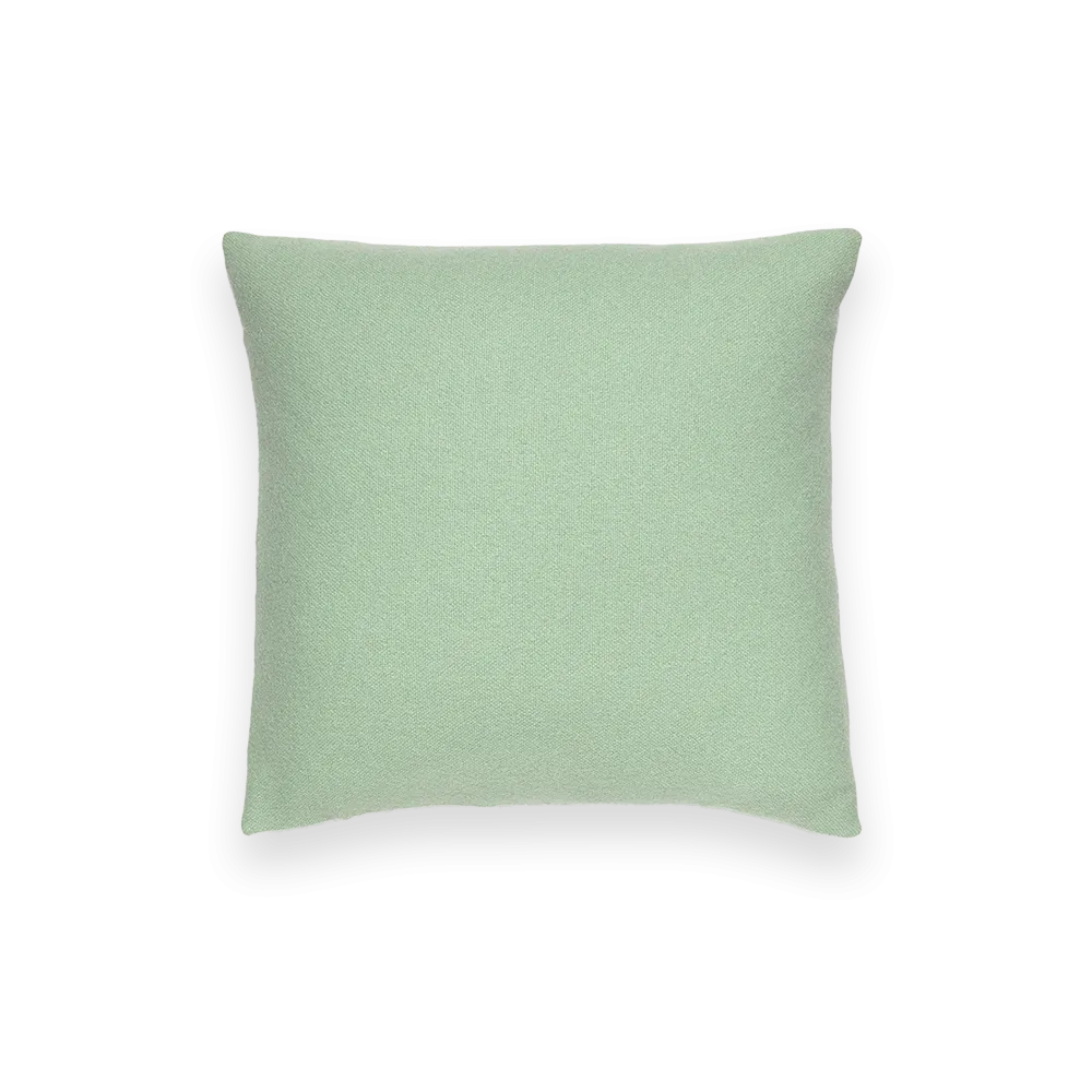 Throw Pillows